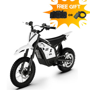 VIPCOO H2 Electric Dirt Bike